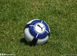 真人,产品,BG真人,BG真人,BG真人入口,BG真人官网,BG真人官方入口,BG真人官方网址