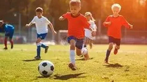 BG真人 产品 063452 0g6