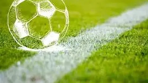 BG真人 资讯 125018 89n